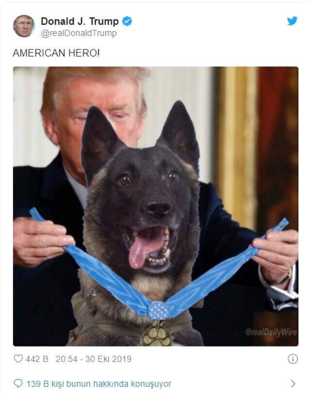 Sosyal medyada alay konusu oldu! Trump bu defa Rocky oldu