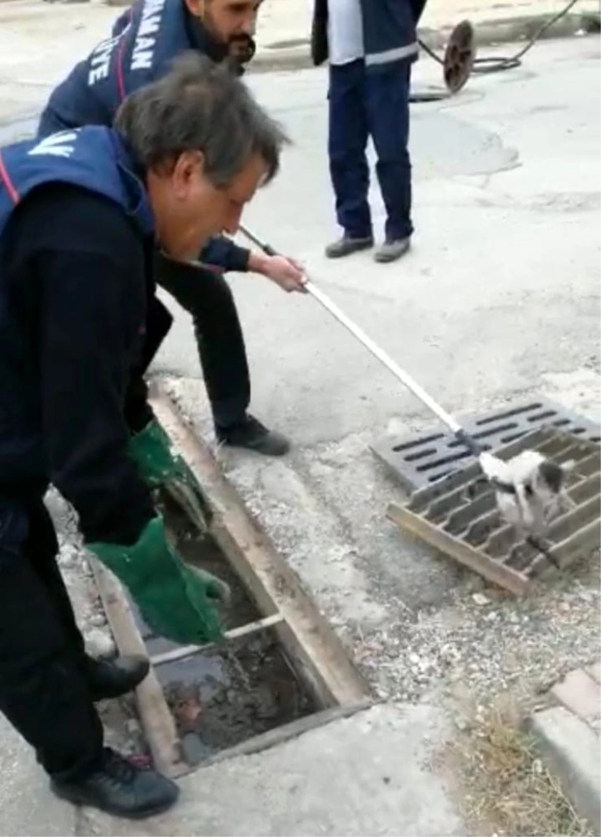 Yavru kedi mazgallardan drenaj kanalına düştü Haberler