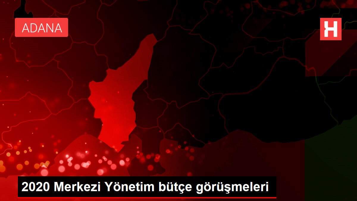 2020 Merkezi Yönetim bütçe görüşmeleri