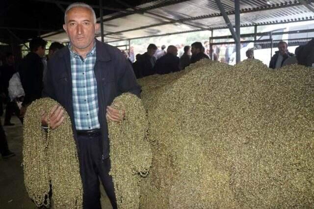 Dalında 15 lira olan bamya, kurutulduktan sonra 200 liraya satılıyor