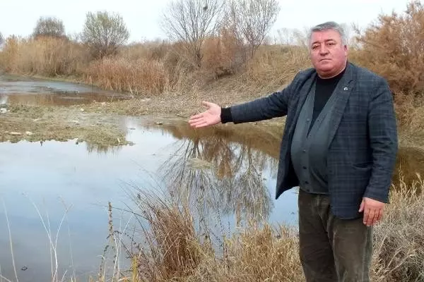 Eber Gölü'nde su, günden güne azalıyor
