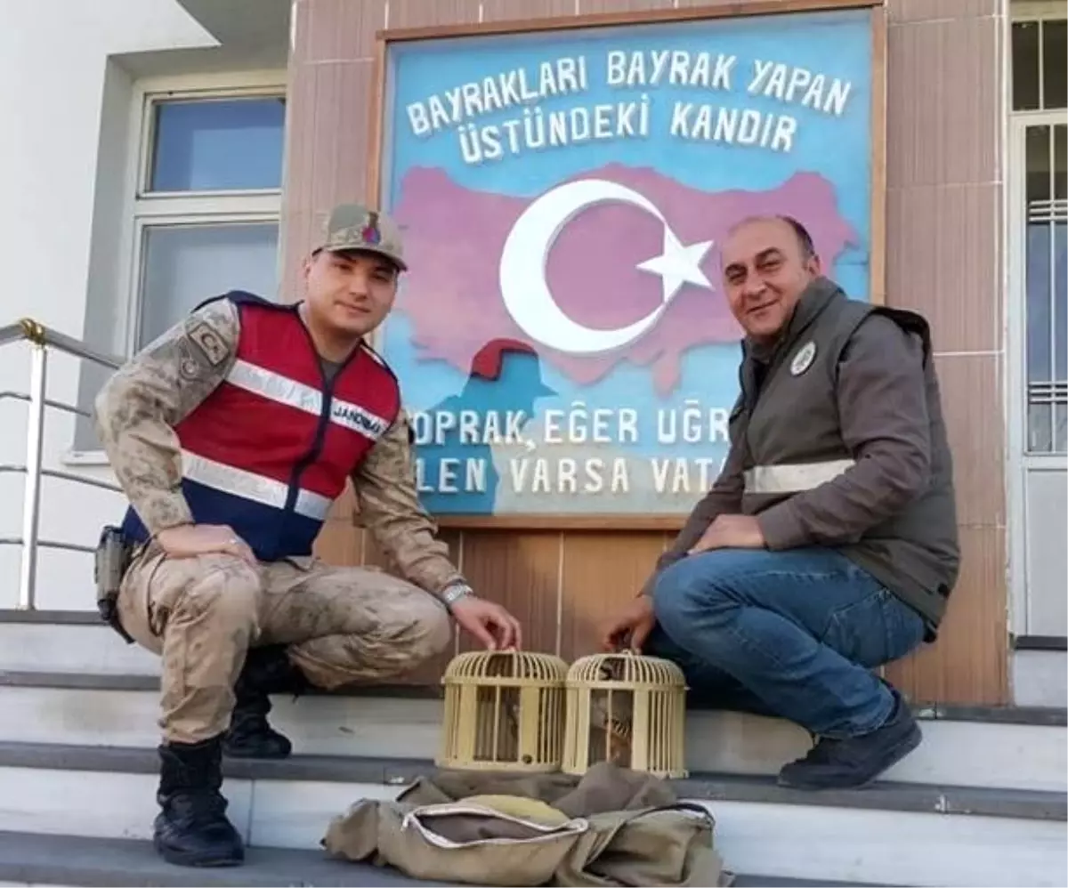 Gevaş'ta keklik avcısına ceza