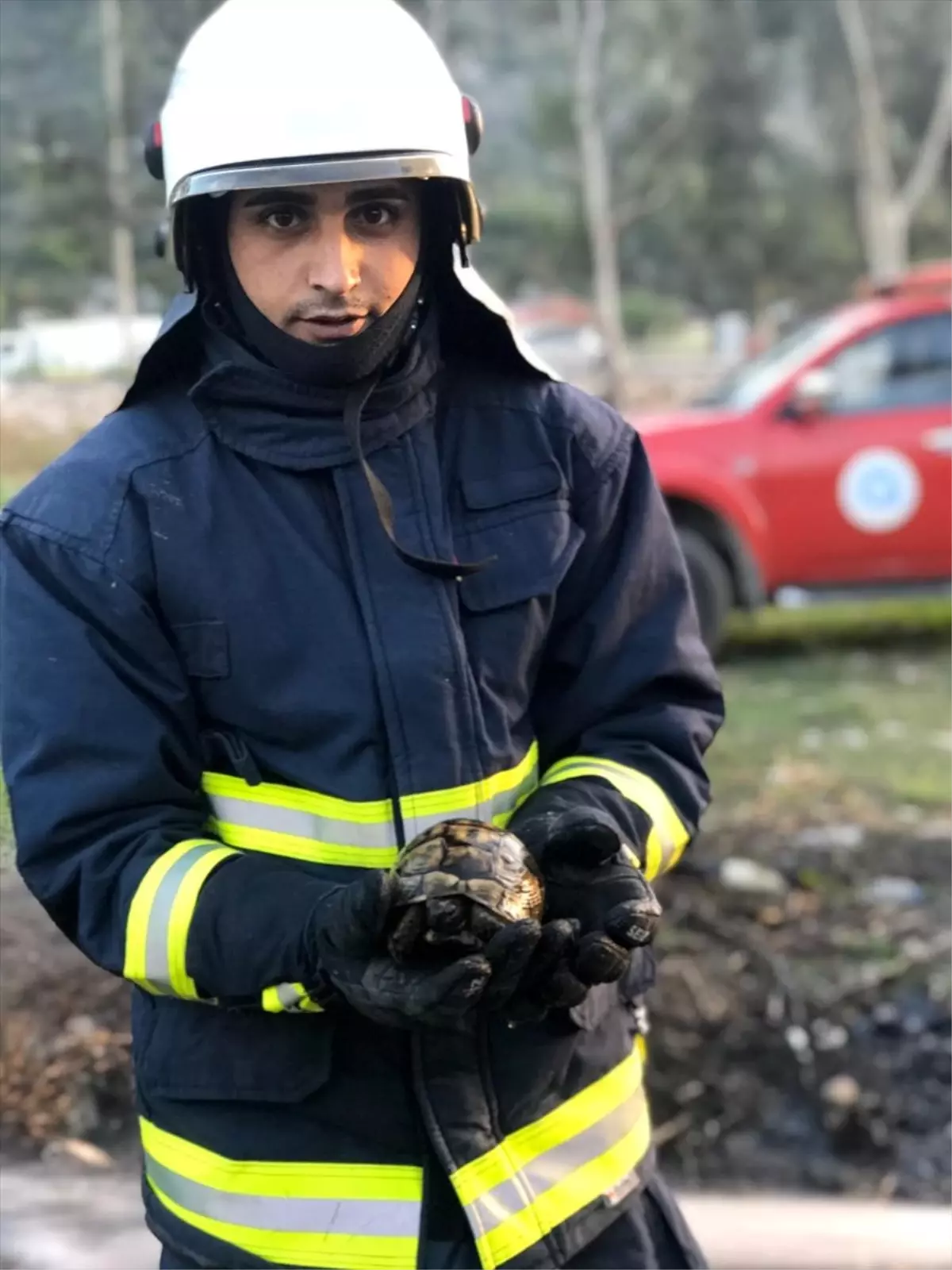 Kaplumbağayı yanmaktan itfaiye kurtardı