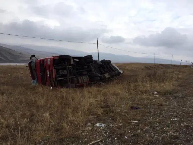 Sivas'ta hayvan yüklü tır devrildi Sivas'ta hayvan yüklü tır devrildi