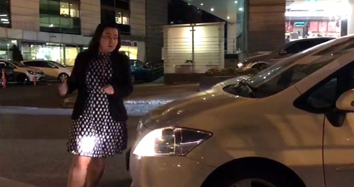 Kadın sürücüden örnek hareket! Trafiği durdurup köpeği yolun karşısına geçirdi