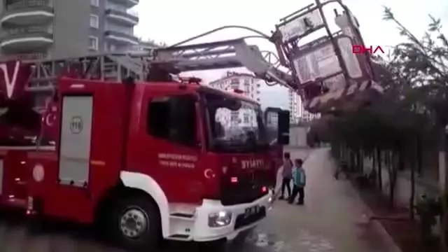Adana kozan'da ağaçta mahsur kalan kedi kurtarıldı