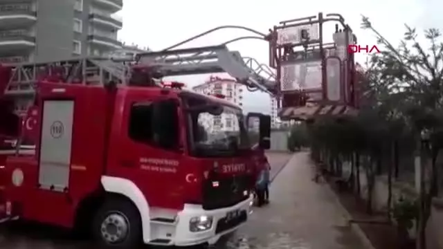 Adana kozan'da ağaçta mahsur kalan kedi kurtarıldı