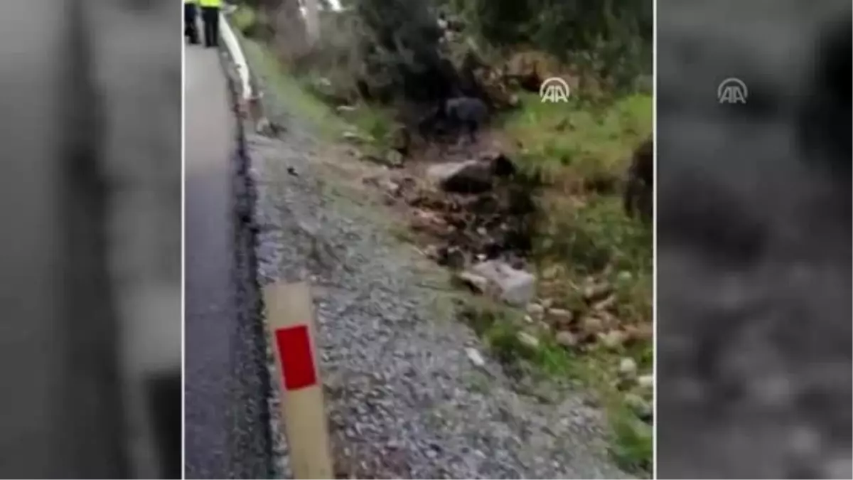 Bodrum'da otomobil devrildi: 3 yaralı