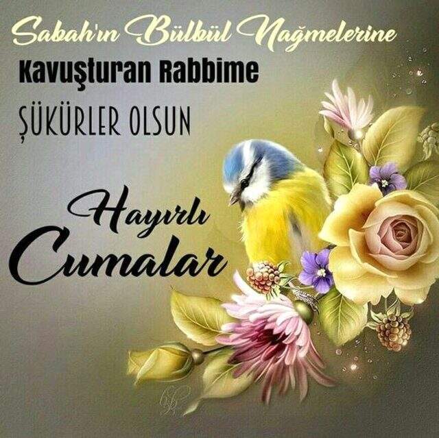 En güzel Cuma mesajları ve Cuma mesajları resimli! Anlamlı Cuma mesajları, resimli Cuma mesajları ve Cuma akşamı mesajları ve Cuma mesajları 2019
