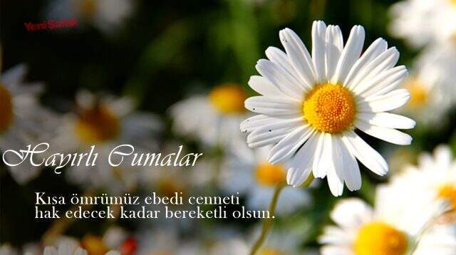 En güzel Cuma mesajları ve Cuma mesajları resimli! Anlamlı Cuma mesajları, resimli Cuma mesajları ve Cuma akşamı mesajları ve Cuma mesajları 2019