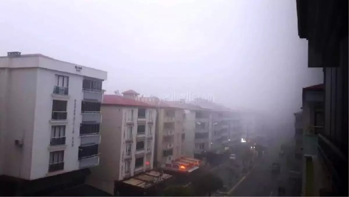 Iğdır'ı sis bastı