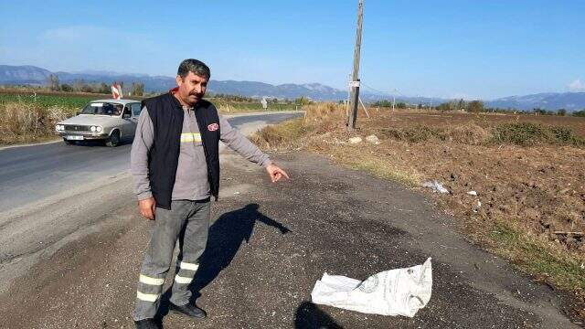İnsanlık dışı olay! Hamile köpeği çuvala koyup ölüme terk ettiler