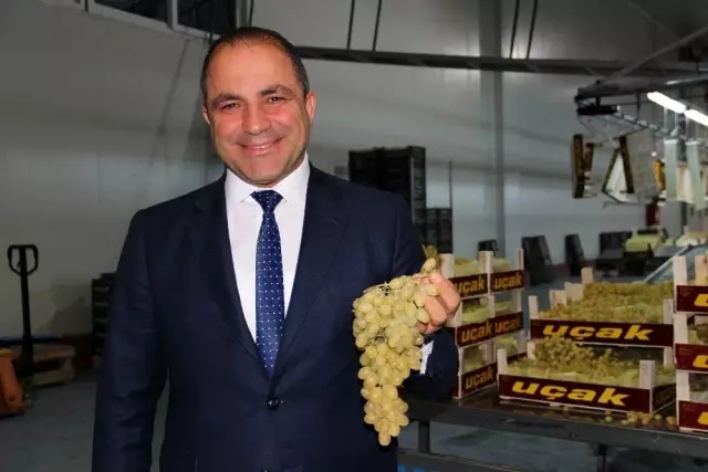 Manisa'dan 32 ülkeye Sultaniye üzüm ihracatı