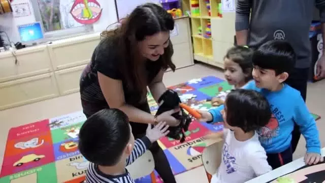 Sokakta bulunan tavşanı anaokulu sahiplendi Haberler