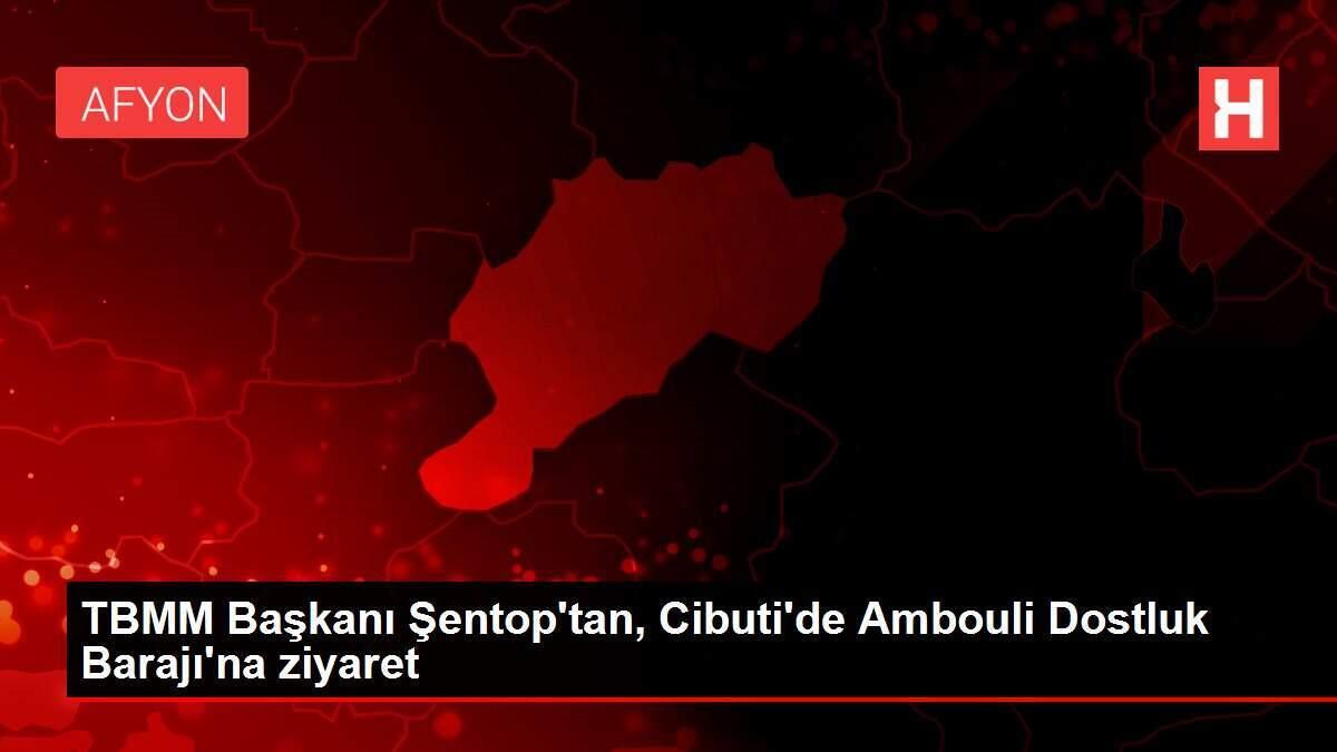 TBMM Başkanı Şentop'tan, Cibuti'de Ambouli Dostluk Barajı'na ziyaret