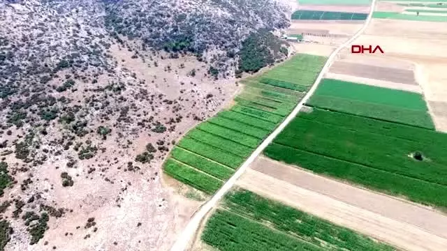 Isparta yasa dışı kenevire uydudan takip Isparta yasa dışı kenevire uydudan takip