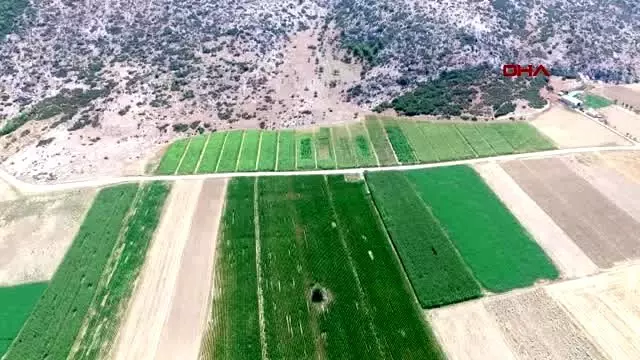 Isparta yasa dışı kenevire uydudan takip Isparta yasa dışı kenevire uydudan takip