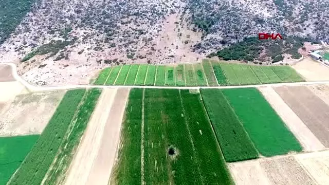 Isparta yasa dışı kenevire uydudan takip Isparta yasa dışı kenevire uydudan takip