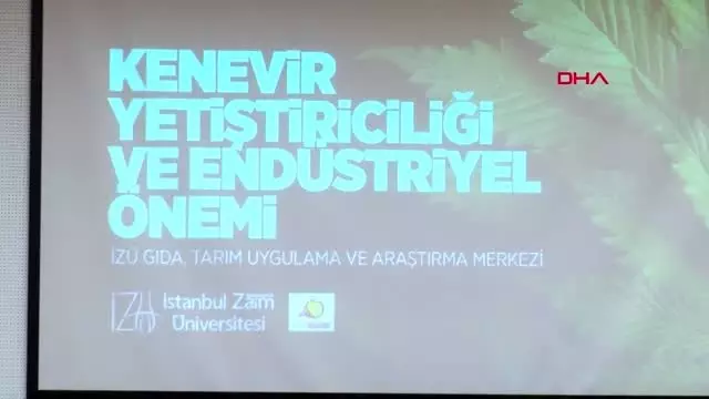 İstanbul-'oksijen deposu kenevirin ekimi teşvik edilmeli' İstanbul-'oksijen deposu kenevirin ekimi teşvik edilmeli'