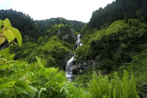 Karadeniz'de yeni Uzungöl ve Ayder oluşturulacak Karadeniz'de yeni Uzungöl ve Ayder oluşturulacak