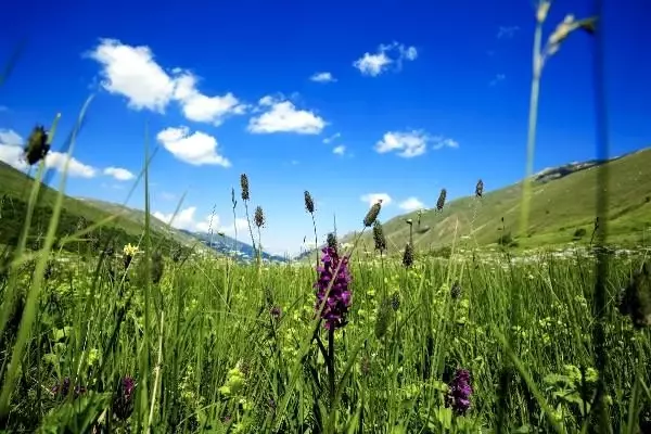 Karadeniz'de yeni Uzungöl ve Ayder oluşturulacak Karadeniz'de yeni Uzungöl ve Ayder oluşturulacak