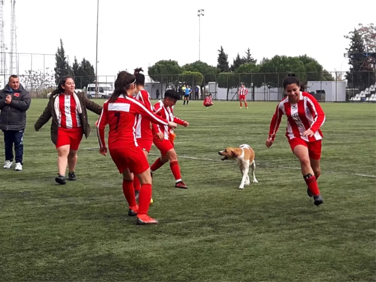 Kadınlar futbol maçında davetsiz misafir