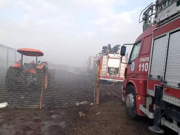 Tekirdağ'da 30 bin saman balyasının bulunduğu çiftlikte yangın