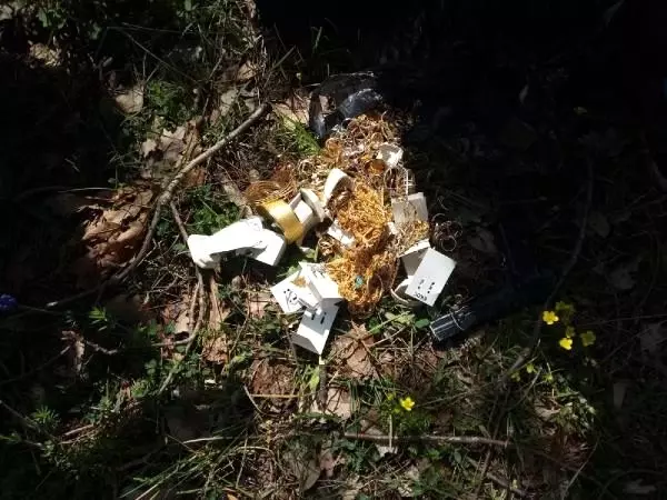 5 kilo altın çalan soyguncular, kuyumcunun zararını ödeyince tahliye edildi 5 kilo altın çalan soyguncular, kuyumcunun zararını ödeyince tahliye edildi