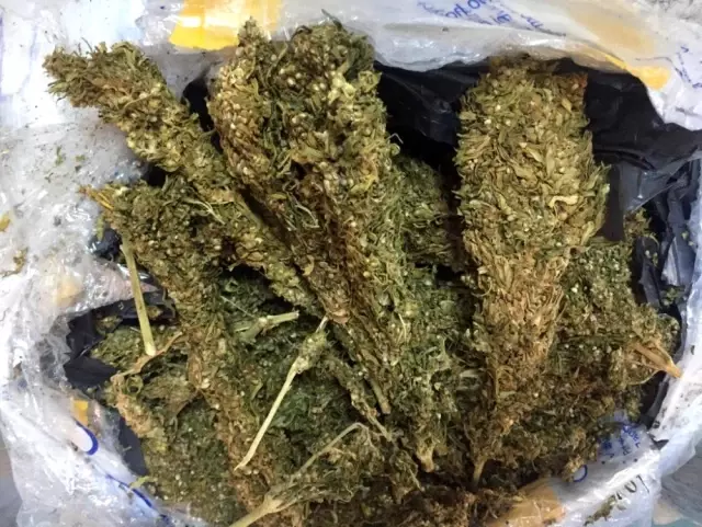 Adana'da 721 kilo esrar ele geçirildi