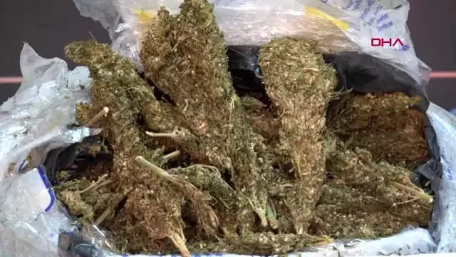Adana mobilya yüklü tır'da 721 kilo 600 gram esrar ele geçirildi