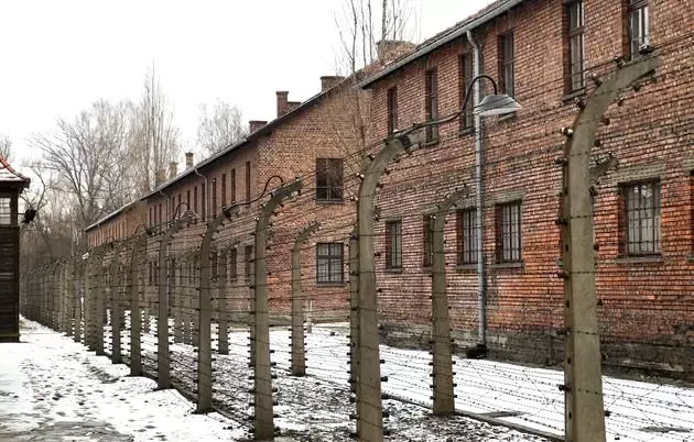 Amazon, Nazilerin ölüm kampı Auschwitz'in görüntülerini içeren Noel süslerini satıştan kaldırdı