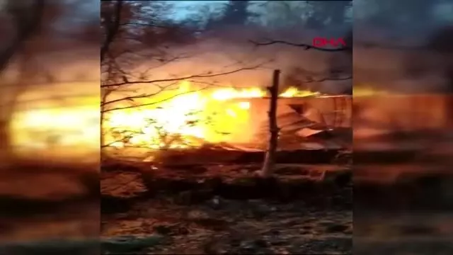 Artvin'de 2 ev yandı Artvin'de 2 ev yandı