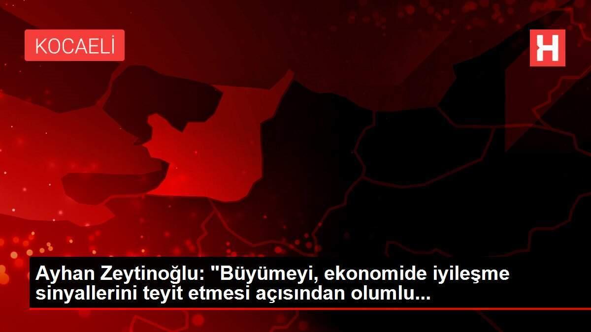 Ayhan Zeytinoğlu: 'Büyümeyi, ekonomide iyileşme sinyallerini teyit etmesi açısından olumlu...
