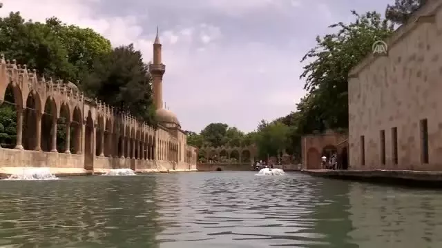 Balıklıgöl'deki kafede kitap okuyanlara çay ve kurabiye ikramı Balıklıgöl'deki kafede kitap okuyanlara çay ve kurabiye ikramı