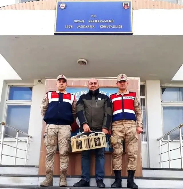 Gevaş'ta kafes avcıları jandarmaya takıldı Gevaş'ta kafes avcıları jandarmaya takıldı