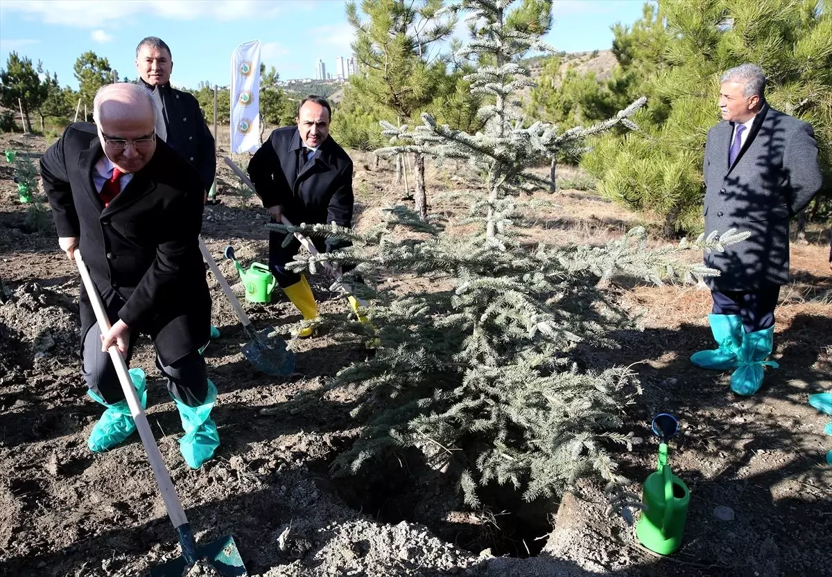 İNTES'in fidanları 'geleceğe nefes' olacak