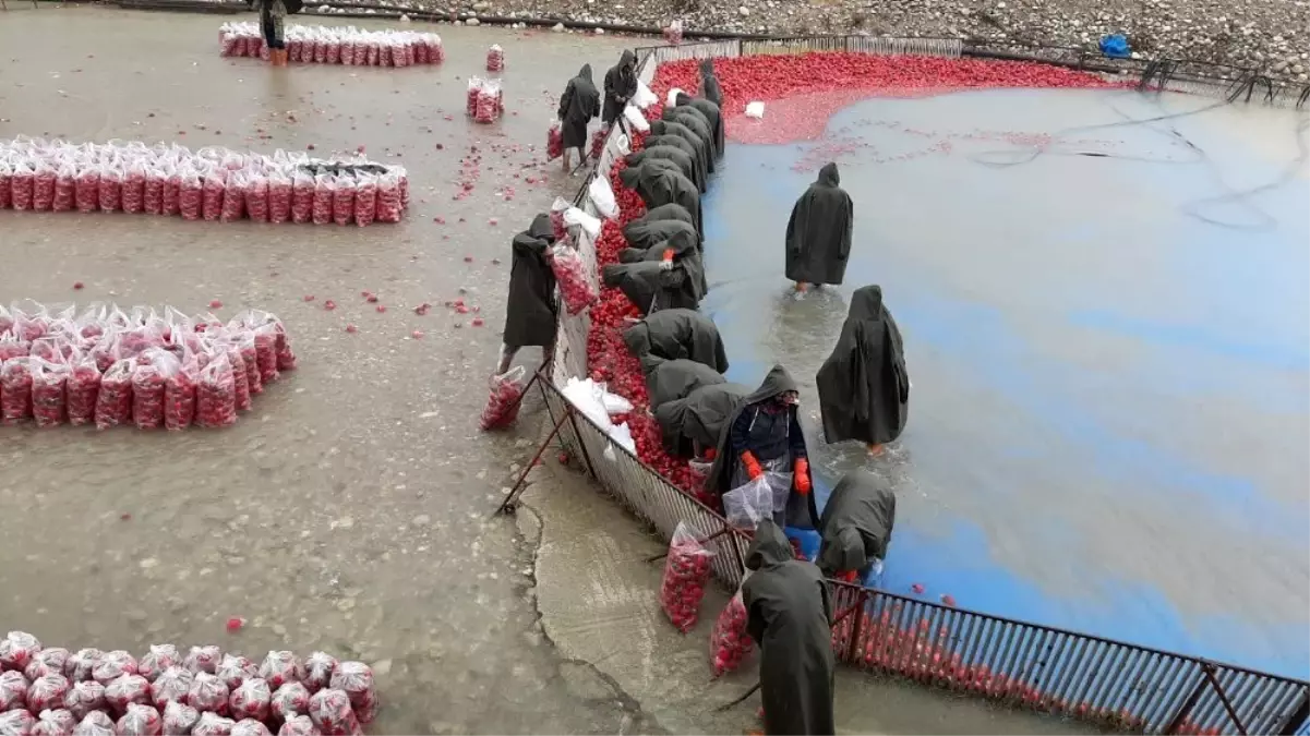 Kadınların soğuk suda ekmek mücadelesi