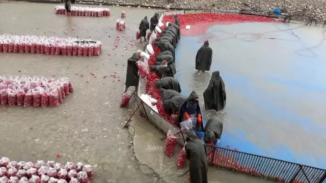Kadınların soğuk suda ekmek mücadelesi