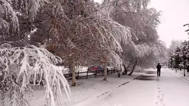Kar yağınca kış cenneti Erzurum'da kartpostallık görüntüler oluştu