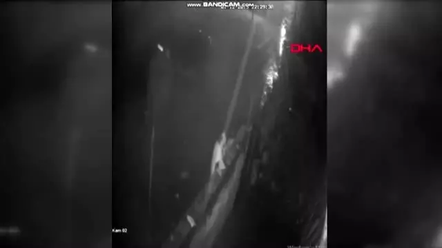 Koyun hırsızlığı kamerada