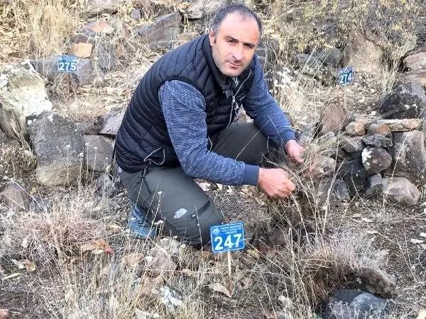 Su altında kalacak ilçede defin yasağı Su altında kalacak ilçede defin yasağı