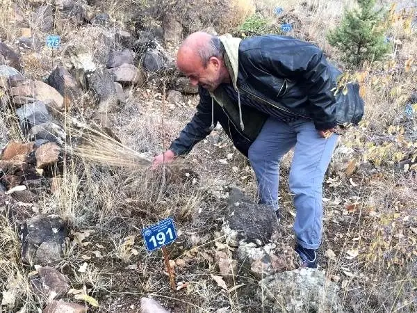 Su altında kalacak ilçede defin yasağı Su altında kalacak ilçede defin yasağı