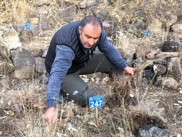 Su altında kalacak ilçede defin yasağı Su altında kalacak ilçede defin yasağı