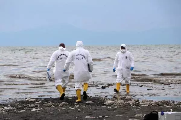 Van Gölü çekilince kemik ve kafatasları ortaya çıktı Van Gölü çekilince kemik ve kafatasları ortaya çıktı