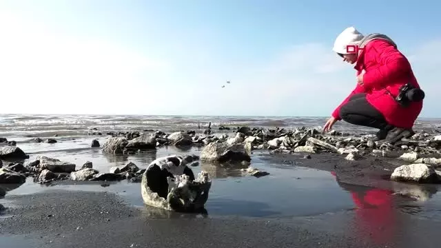 Van gölü çekilince kemik ve kafatasları ortaya çıktı Van gölü çekilince kemik ve kafatasları ortaya çıktı