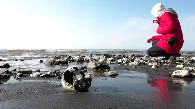 Van gölü çekilince kemik ve kafatasları ortaya çıktı Van gölü çekilince kemik ve kafatasları ortaya çıktı