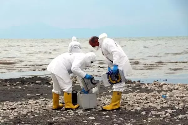 Van Gölü çekilince kemik ve kafatasları ortaya çıktı Van Gölü çekilince kemik ve kafatasları ortaya çıktı