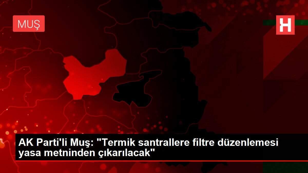 AK Parti'li Muş: AK Parti'li Muş: