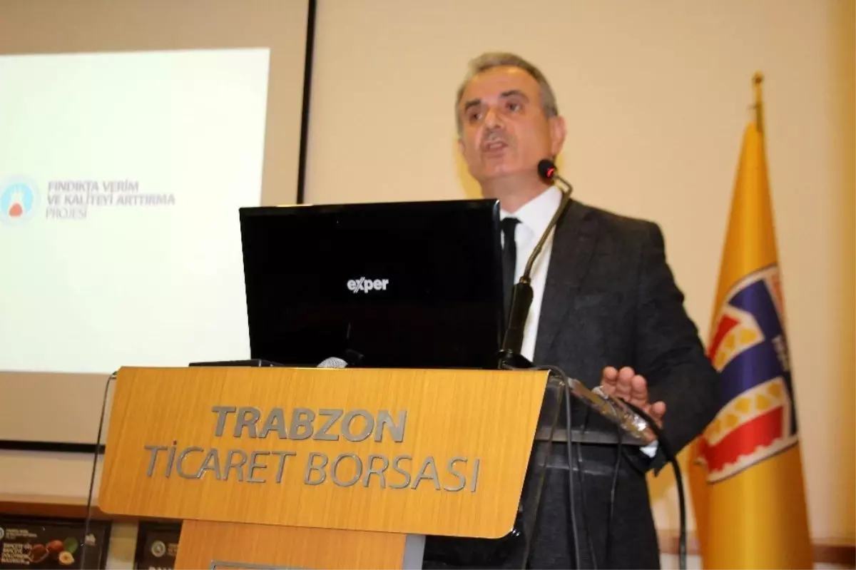 Fındıkta Verim ve Kaliteyi Artırma Projesi