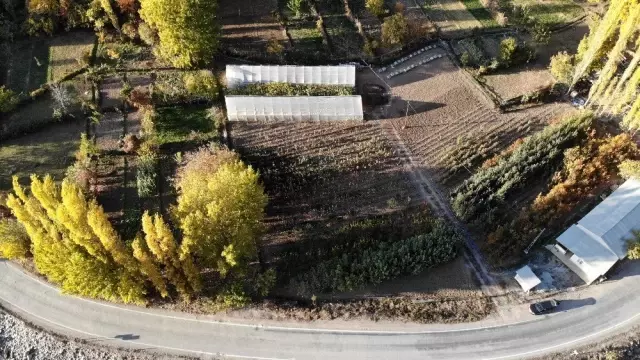 Sular altında kalacak 151 yıllık ilçenin yeni yerleşim yeri için 30 bin meyve fidanı koruma altına... Sular altında kalacak 151 yıllık ilçenin yeni yerleşim yeri için 30 bin meyve fidanı koruma altına...